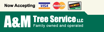 A&M Tree Service